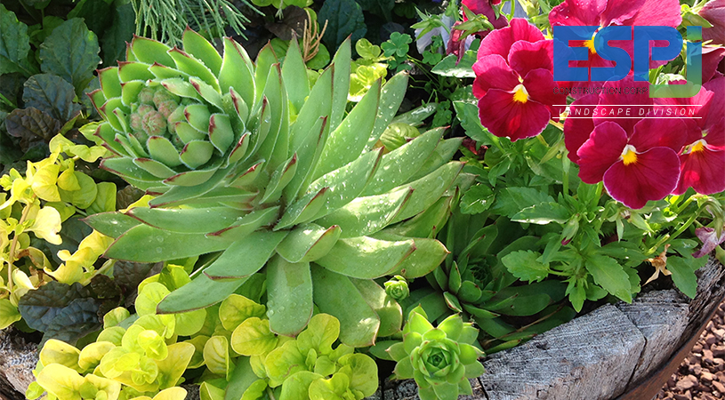 ESPJ Construction Landscaping Linden NJ